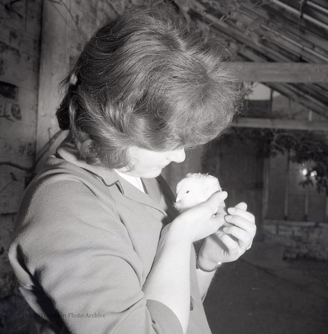 Whitby Chicks 17/03/1972