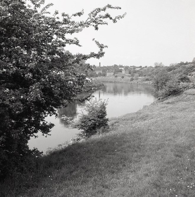 Yarm Riverbank