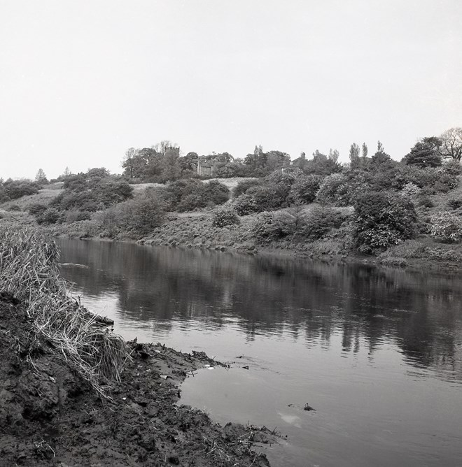 Yarm Riverbank