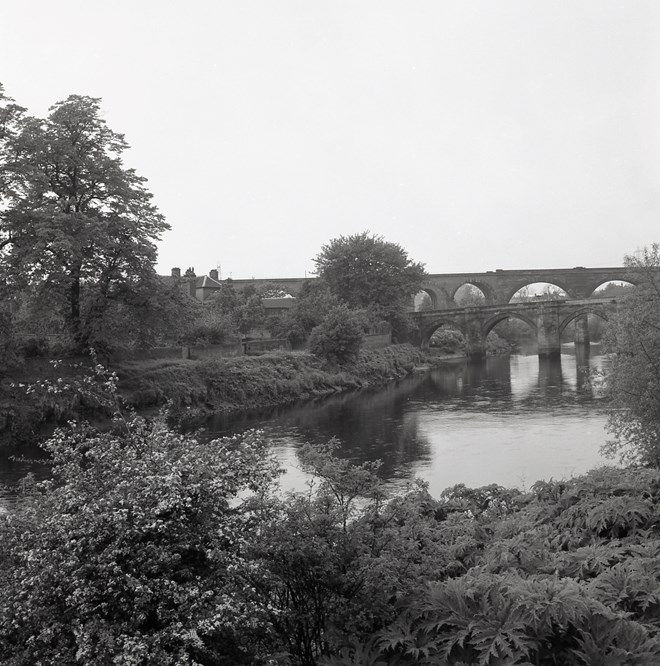 Yarm Riverbank