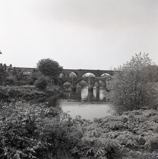 Yarm Riverbank