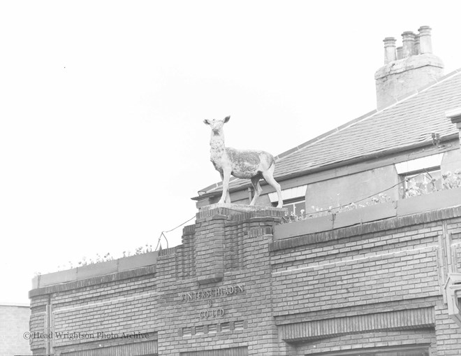 Reindeer on top of Winterschladens Linthorpe Road