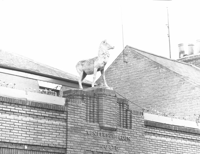 Reindeer on top of Winterschladens Linthorpe Road