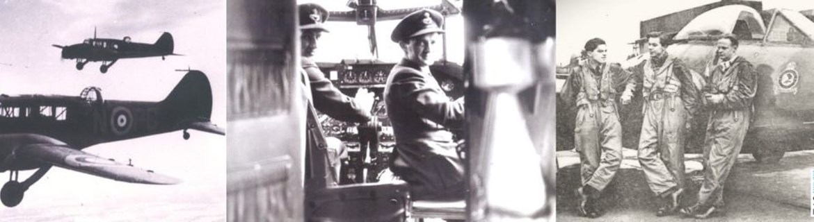 RAF and 608 Squadron